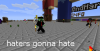 hatersgonnahatenes.png