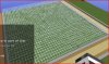 Maze(1).JPG