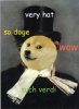 Giuseppe Verdoge.jpg