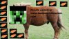 nes poni.jpg