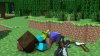 flowers-steve-minecraft-cinema-4d-tapeta-1920x1080-wallpaper_wwwwallpapermicom_52-1_2981777.jpg