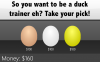 which duck..PNG