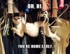 tumblr_mg2i78tker1rk3gk2o1_500.jpg