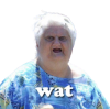 wat.png