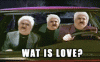95189-WAT-IS-LOVE-gif-Baby-dont-hurt-feWG.gif