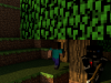 Ninjaman.png