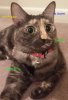 Cate.jpg