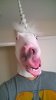 WP_20141029_001.jpg