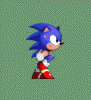Run_Gif.gif