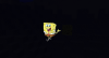 SpongebobInMinecraft.png