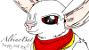 durp.png