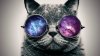 GalaxyCat2.jpg