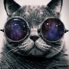 cat_with_space_glasses_by_frzhdzn-d65dw14.jpg