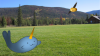 picture sweg.png