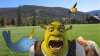 piccccc.png