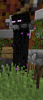 Capture.PNG
