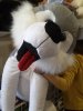 CAM00270.jpg