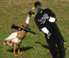 MLG DUCK - Small.png