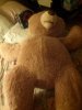 CAM00288.jpg