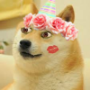 boooootifl.png