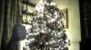 picture002.jpg