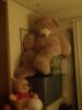 CAM00293.jpg