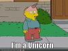 unicorn.jpg