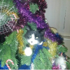 upload_2014-12-15_20-39-26.png