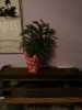 20141215_213551.jpg