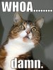 Like Whoa 2.jpg