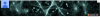 Capture.PNG