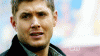 11.gif