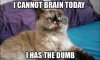 Cannot_Brain_Today.jpg
