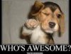 upload_2015-1-16_22-32-40.jpeg