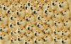 doge-pattern-27481-2880x1800.jpg