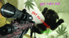 tumblr_mzo0m9qC9z1sc421jo1_500.gif