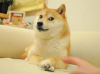 weed.png