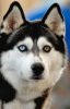 upload_2015-2-13_16-13-55.jpeg