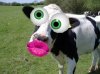 coollogo_com-1370831.jpg
