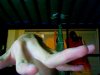 Photo on 2015-02-25 at 19.21 #2.jpg