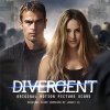 d1845d98ad14b25f9bbcc5c9caf1ae3 divergent.jpg