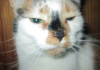 upload_2015-3-20_22-45-31.png
