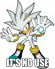 its no use - Silver the Hedgehog.jpg