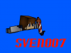 Sven.png