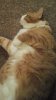 20150317_224843.jpg