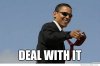 DealWithIt-500x330.jpg