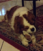 upload_2015-4-24_14-22-54.png