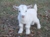 baaa96505ab3f1771c23d0af363bd168.jpg