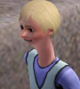 simss.PNG