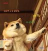 images.jpg